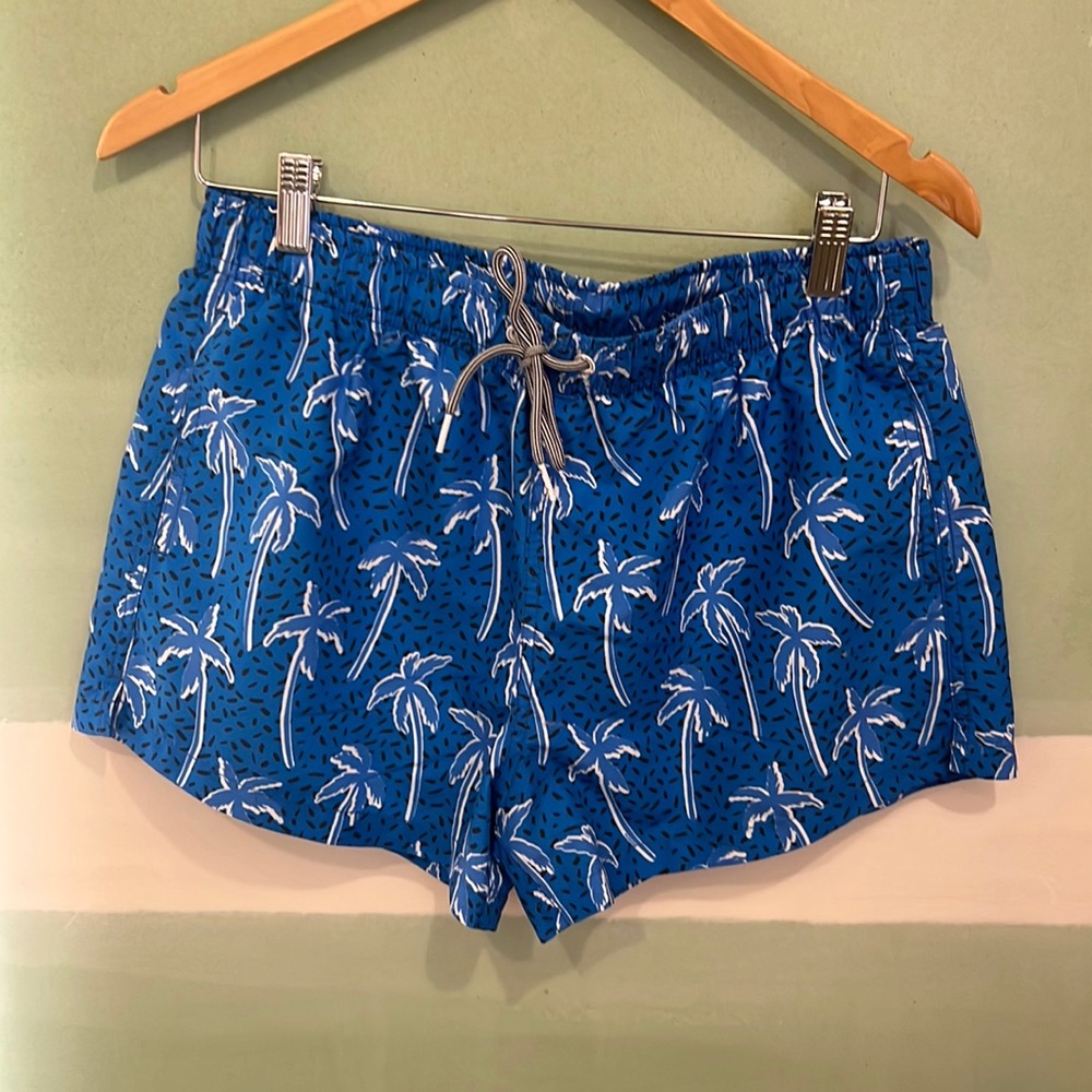 Boarders Swim Trunks